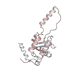 7445_6cb1_G_v1-3
Yeast nucleolar pre-60S ribosomal subunit (state 3)