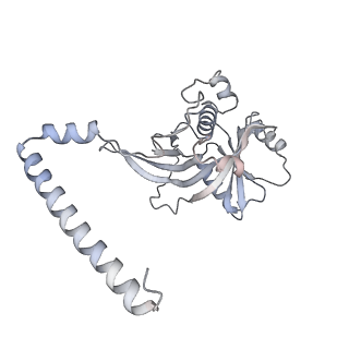 7445_6cb1_I_v1-3
Yeast nucleolar pre-60S ribosomal subunit (state 3)