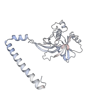 7445_6cb1_I_v1-4
Yeast nucleolar pre-60S ribosomal subunit (state 3)