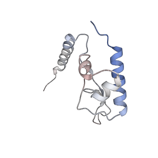 7445_6cb1_L_v1-3
Yeast nucleolar pre-60S ribosomal subunit (state 3)