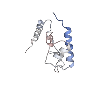 7445_6cb1_L_v1-4
Yeast nucleolar pre-60S ribosomal subunit (state 3)