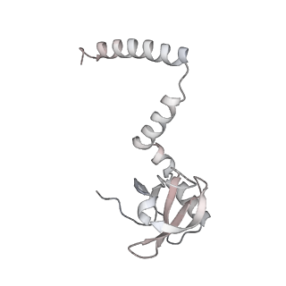 7445_6cb1_M_v1-3
Yeast nucleolar pre-60S ribosomal subunit (state 3)