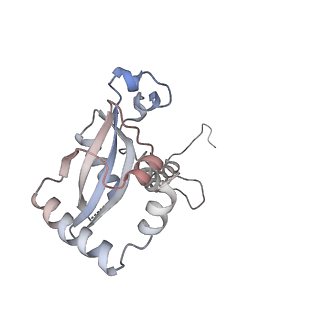 7445_6cb1_N_v1-3
Yeast nucleolar pre-60S ribosomal subunit (state 3)
