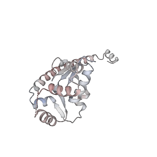 7445_6cb1_O_v1-3
Yeast nucleolar pre-60S ribosomal subunit (state 3)