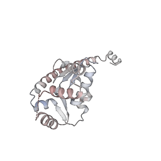 7445_6cb1_O_v1-4
Yeast nucleolar pre-60S ribosomal subunit (state 3)