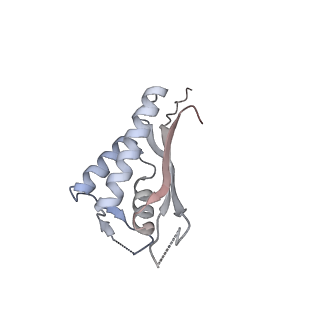 7445_6cb1_P_v1-3
Yeast nucleolar pre-60S ribosomal subunit (state 3)