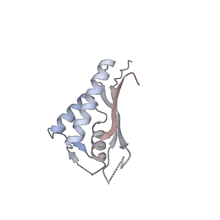 7445_6cb1_P_v1-4
Yeast nucleolar pre-60S ribosomal subunit (state 3)