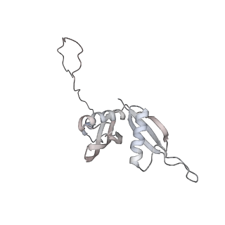 7445_6cb1_S_v1-3
Yeast nucleolar pre-60S ribosomal subunit (state 3)