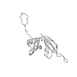 7445_6cb1_S_v1-4
Yeast nucleolar pre-60S ribosomal subunit (state 3)