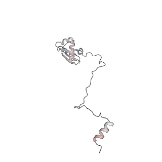 7445_6cb1_X_v1-3
Yeast nucleolar pre-60S ribosomal subunit (state 3)