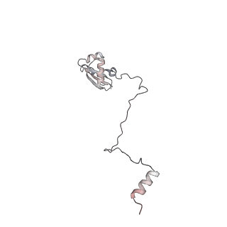 7445_6cb1_X_v1-4
Yeast nucleolar pre-60S ribosomal subunit (state 3)