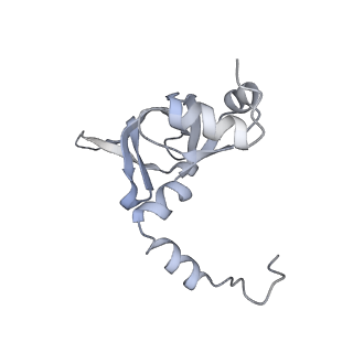 7445_6cb1_Y_v1-3
Yeast nucleolar pre-60S ribosomal subunit (state 3)