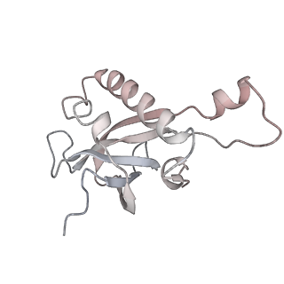 7445_6cb1_Z_v1-3
Yeast nucleolar pre-60S ribosomal subunit (state 3)