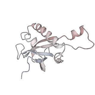 7445_6cb1_Z_v1-4
Yeast nucleolar pre-60S ribosomal subunit (state 3)