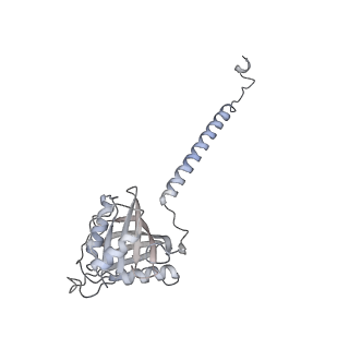 7445_6cb1_b_v1-3
Yeast nucleolar pre-60S ribosomal subunit (state 3)