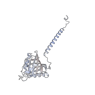 7445_6cb1_b_v1-4
Yeast nucleolar pre-60S ribosomal subunit (state 3)