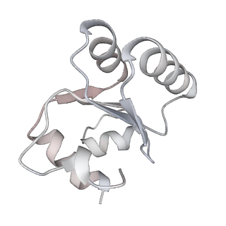 7445_6cb1_c_v1-3
Yeast nucleolar pre-60S ribosomal subunit (state 3)
