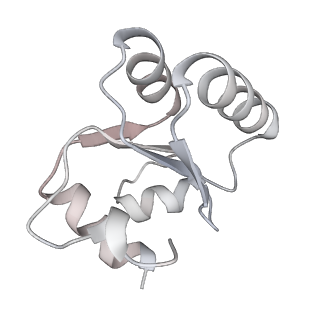 7445_6cb1_c_v1-4
Yeast nucleolar pre-60S ribosomal subunit (state 3)