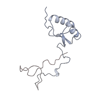 7445_6cb1_e_v1-3
Yeast nucleolar pre-60S ribosomal subunit (state 3)