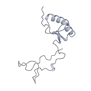 7445_6cb1_e_v1-4
Yeast nucleolar pre-60S ribosomal subunit (state 3)