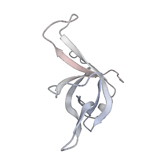 7445_6cb1_f_v1-4
Yeast nucleolar pre-60S ribosomal subunit (state 3)