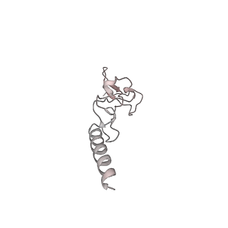 7445_6cb1_g_v1-3
Yeast nucleolar pre-60S ribosomal subunit (state 3)