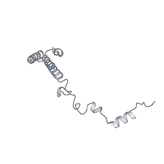 7445_6cb1_h_v1-4
Yeast nucleolar pre-60S ribosomal subunit (state 3)