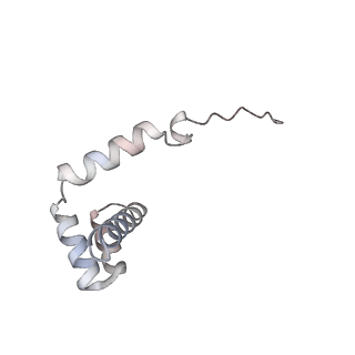 7445_6cb1_i_v1-3
Yeast nucleolar pre-60S ribosomal subunit (state 3)