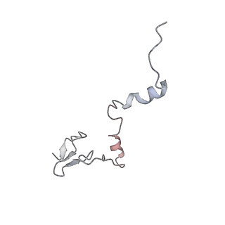 7445_6cb1_j_v1-3
Yeast nucleolar pre-60S ribosomal subunit (state 3)