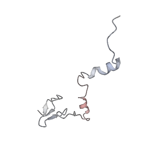 7445_6cb1_j_v1-4
Yeast nucleolar pre-60S ribosomal subunit (state 3)