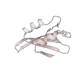 7445_6cb1_k_v1-3
Yeast nucleolar pre-60S ribosomal subunit (state 3)