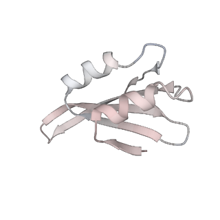 7445_6cb1_k_v1-4
Yeast nucleolar pre-60S ribosomal subunit (state 3)