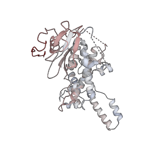 7445_6cb1_n_v1-4
Yeast nucleolar pre-60S ribosomal subunit (state 3)