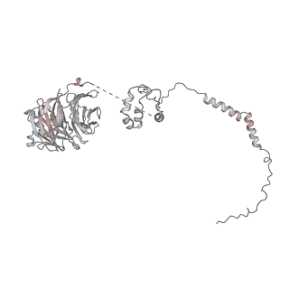 7445_6cb1_s_v1-3
Yeast nucleolar pre-60S ribosomal subunit (state 3)