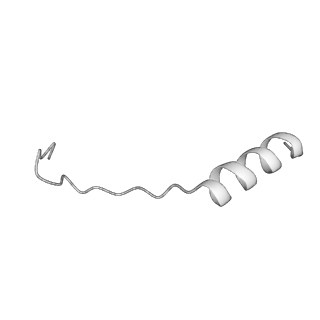 7445_6cb1_x_v1-4
Yeast nucleolar pre-60S ribosomal subunit (state 3)