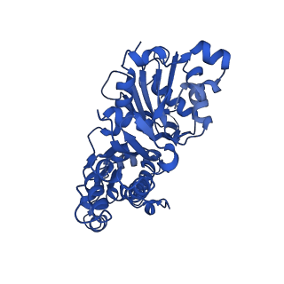 10588_8ccn_A_v1-2
Filamentous actin II from Plasmodium falciparum