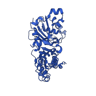 10588_8ccn_C_v1-2
Filamentous actin II from Plasmodium falciparum