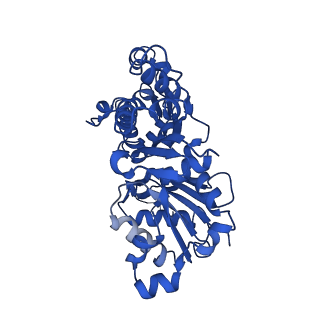 10588_8ccn_D_v1-2
Filamentous actin II from Plasmodium falciparum