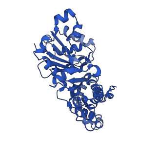 10588_8ccn_E_v1-2
Filamentous actin II from Plasmodium falciparum