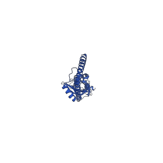 16555_8cc6_B_v1-2
Mouse serotonin 5-HT3A receptor in complex with PZ-1922