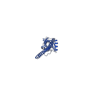 16555_8cc6_D_v1-2
Mouse serotonin 5-HT3A receptor in complex with PZ-1922