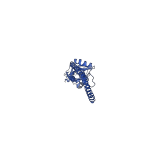 16555_8cc6_E_v1-2
Mouse serotonin 5-HT3A receptor in complex with PZ-1922