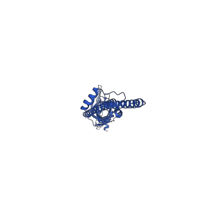 16557_8cc7_A_v1-2
Mouse serotonin 5-HT3A receptor in complex with PZ-1939