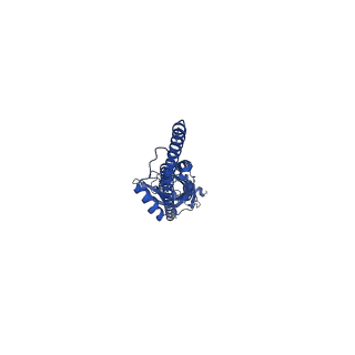 16557_8cc7_B_v1-2
Mouse serotonin 5-HT3A receptor in complex with PZ-1939