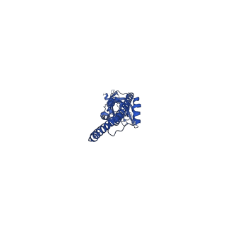 16557_8cc7_D_v1-2
Mouse serotonin 5-HT3A receptor in complex with PZ-1939