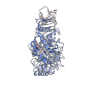 16564_8ccy_A_v1-1
Human heparan sulfate N-deacetylase-N-sulfotransferase 1 in complex with calcium and 3'-phosphoadenosine-5'-phosphosulfate