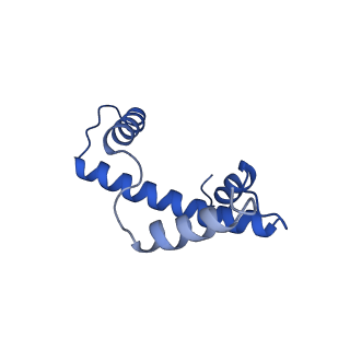 30339_7ccq_A_v1-2
Structure of the 1:1 cGAS-nucleosome complex