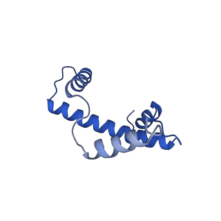 30339_7ccq_A_v1-3
Structure of the 1:1 cGAS-nucleosome complex