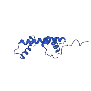 30339_7ccq_C_v1-2
Structure of the 1:1 cGAS-nucleosome complex