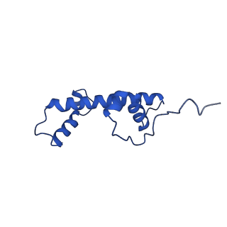 30339_7ccq_C_v1-3
Structure of the 1:1 cGAS-nucleosome complex